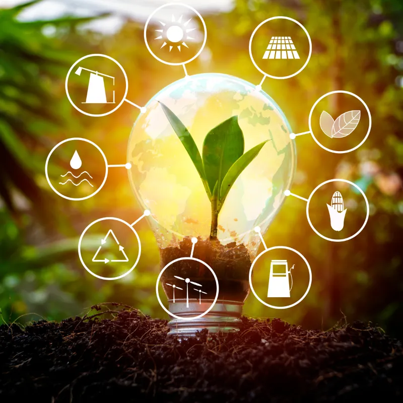 Renewable Energy Solutions